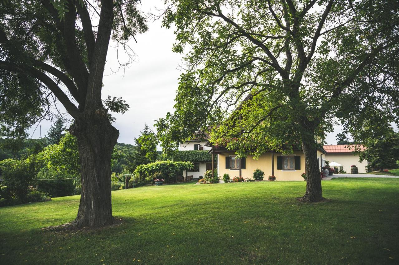 Wein & Gaestehof Erlacher Hartmannsdorf Exterior foto